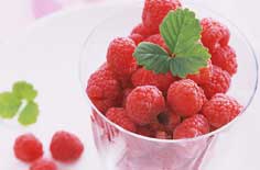 数字时代的神农架：林区特产官网全览