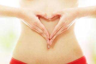 肠道健康的秘密