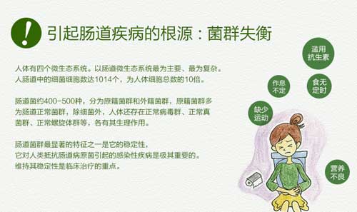 肠道菌群失调怎么办？