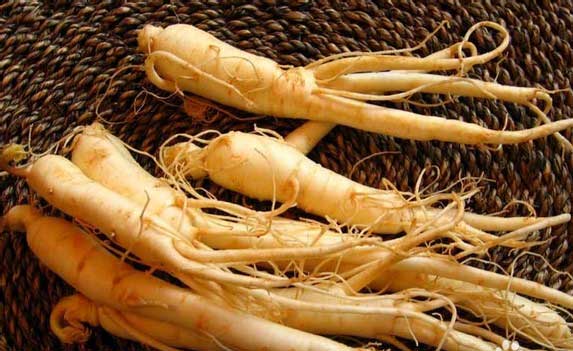 人参的功效与作用