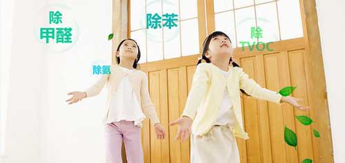 这样可以减少室内污染