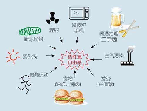 自由基是什么 自由基的危害