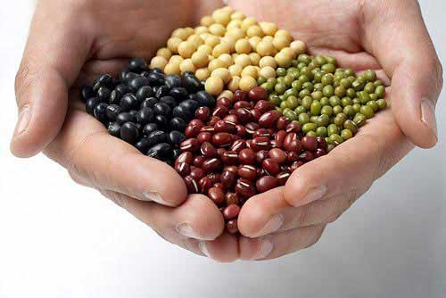 富含维生素E的食物有哪些