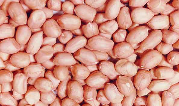 花生的营养价值及功效