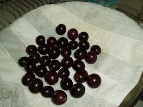 葡萄如何清洗_清洗葡萄的小妙招