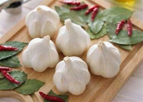 这六类食物竟是男人养生的利器