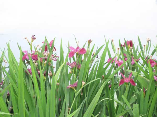 秋季饮食八禁忌 忌吃辛辣生冷的食物