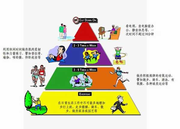 运动有个金字塔 看看你能做到第几层