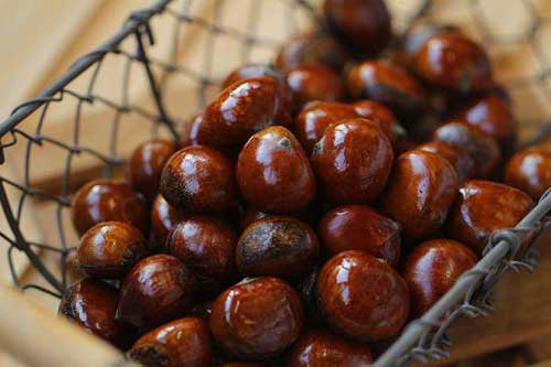 吃栗子的禁忌 板栗不能和什么一起吃