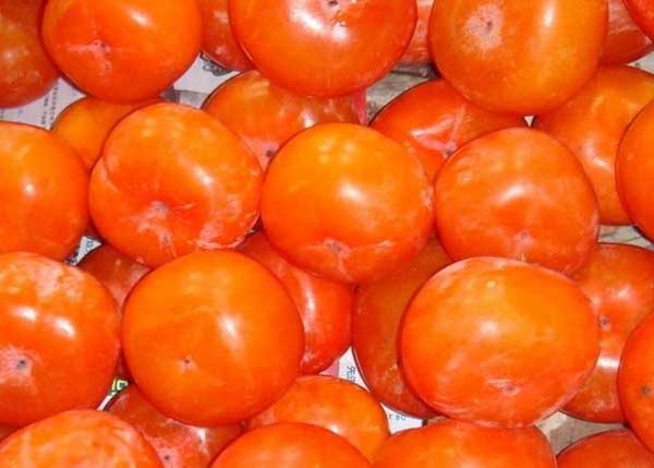 吃柿子的禁忌 5大注意事项你知道吗