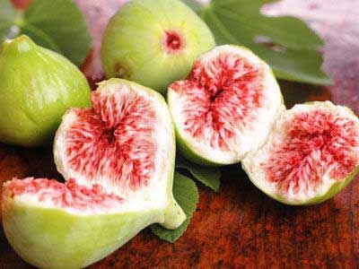 无花果的产地 功效与作用