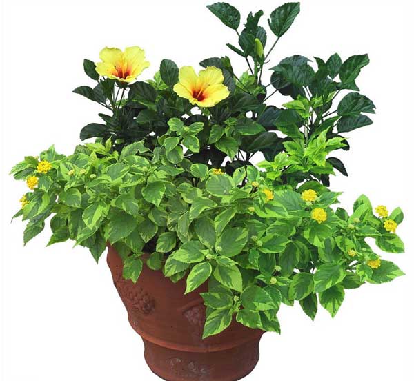 卧室家具摆放有讲究 床头不宜放五样东西