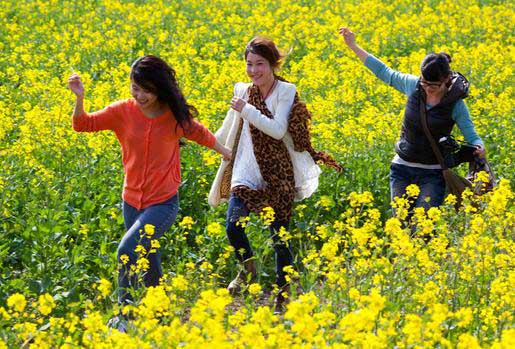 清明踏青有四防