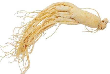 半支人参得状元的故事