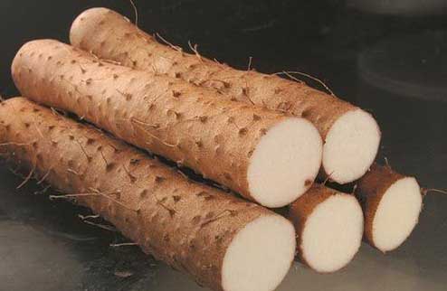 山药减肥又养胃 山药变着吃不乏味