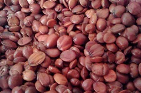 晚上睡不好不妨吃治疗失眠的中药