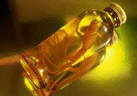 秋冬喝点药酒最滋补 注意5大误区