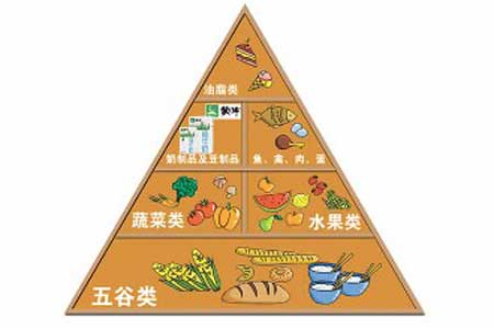 中国传统文化与营养学的发展