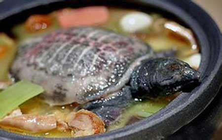 射精障碍吃什么比较好