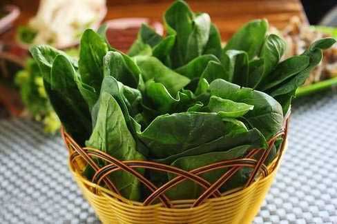 餐桌上6款美容菜 养颜效果堪比面霜