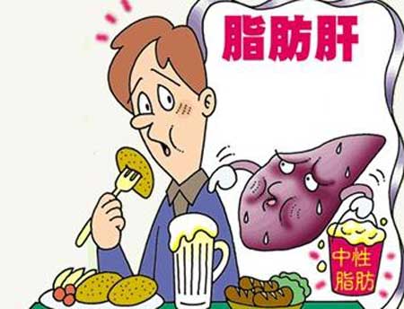 饭后喝茶不当易致脂肪肝