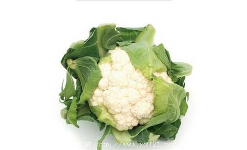 菜花是天赐的良药 盘点菜花的功效