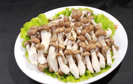 鲜味会让人胃口更好吗?