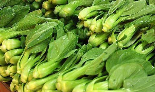 小白菜、大白菜、娃娃菜哪个最有营养？