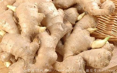 吃生姜不能忽略的6个问题