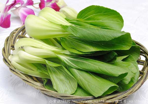 盘点十字花科植物的独特保健作用