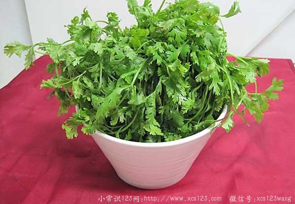 香菜容易加重引发气虚感冒