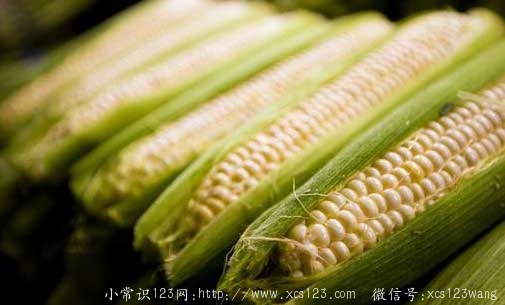 玉米含有甜蜜素 多食玉米有害吗？