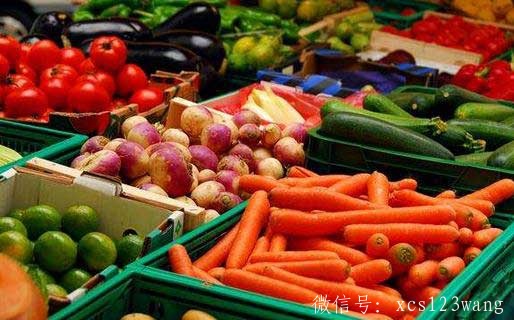 如何吃素更健康？