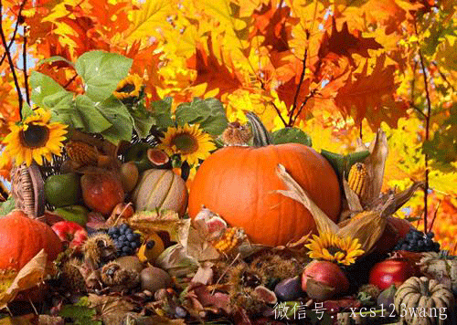 初秋选择这些食物滋阴养肺