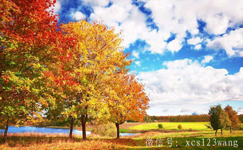 秋天皮肤干燥脱皮怎么办？