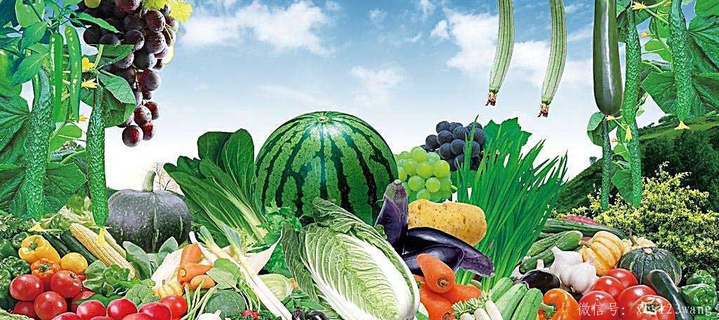 蔬菜也能装点家居