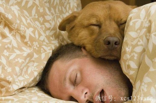 做噩梦小心患这些疾病！