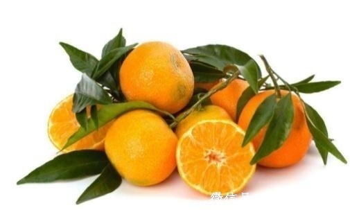 吃什么让你明目醒脑 提神醒脑类食物之柑橘