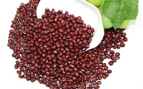 冬季养生常吃红豆有4大好处 治疗水肿必用红豆