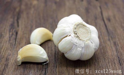 哪些食物不能和大蒜一起吃 狗肉与大蒜一起吃会助火伤阴