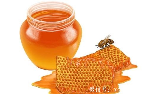 秋季补身别猎野味 病毒引发传染病