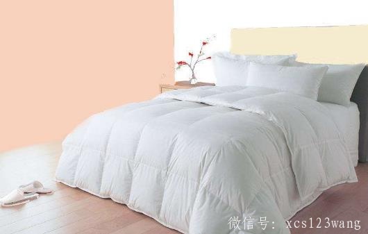 冬季晒被子会有哪些好处呢 提高被子的保暖性