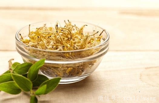 用金银花泡水喝有什么好处 金银花茶的营养价值