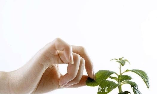 为啥体寒体质的人容易得癌症