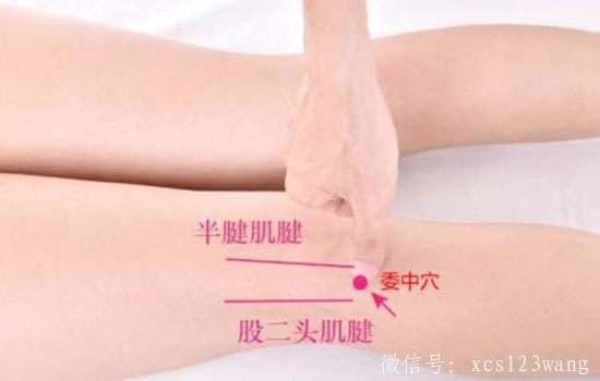 一个穴位祛除腰背疼痛！99%的人不知道～