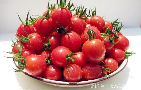 圣女果这种水果你了解吗 对女性特别好