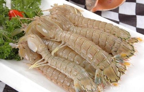 孕妇能吃哪些海鲜