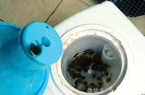 桶装水保质期是多久?超过多少天就不能喝了?桶装水多少升多钱一桶