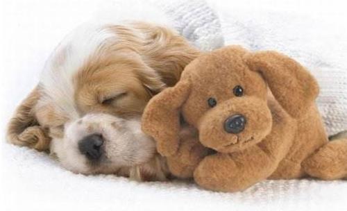 天冷睡觉的时候脚冷怎么办