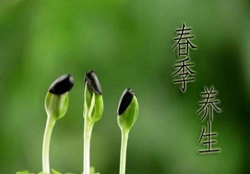 一年之计在于春,不得不知的春季养生常识